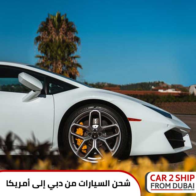 شحن السيارات من دبي إلى أمريكا